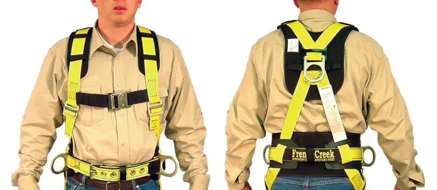 Body Harness