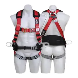 Body Harness Protecta