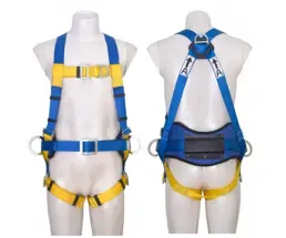 FULL BODY HARNESS PROTECTA FIRST 1390033